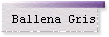 Ballena Gris