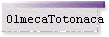 OlmecaTotonaca
